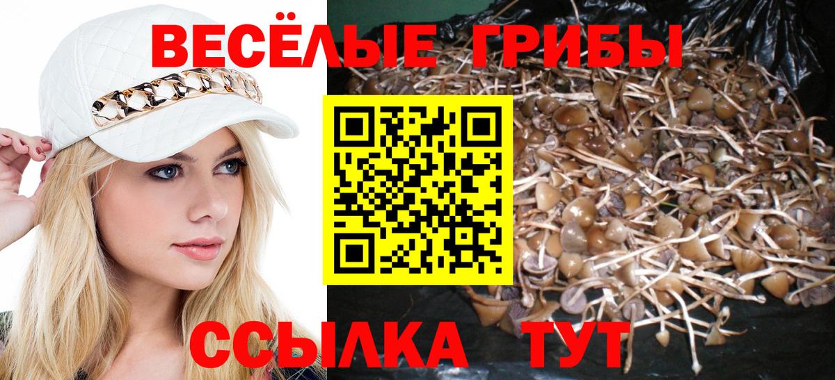 Псилоцибиновые грибы прущие грибы  купить закладку  Красноуфимск  Вход с VPN 
